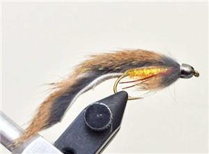 Wounded Sculpin