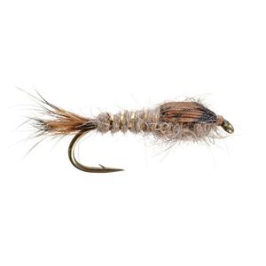 Gold Ribbed Hares Ear - Mult Colors