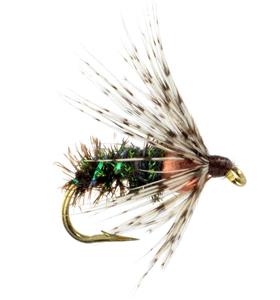 BH Soft Hackle - Peacock