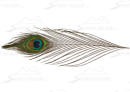 2848/Spirit-River-UV2-Peacock-Eyes