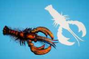 3422/Cohen's-Crayfish-Creature