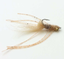 3744/Jons-Golden-Eye-Mantis-Shrimp