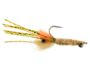 4395/Orange-Bearded-Mantis-Shrimp-T