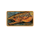 5101/Fishpond-Brown-Trout-Sticker