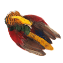 5601/Wapsi-Golden-Pheasant-Skin