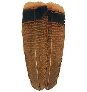 OzarkTurkey Tail  Feathers Cinnamon Tipped